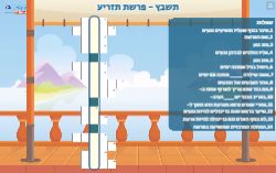 תשבץ לפרשת תזריע